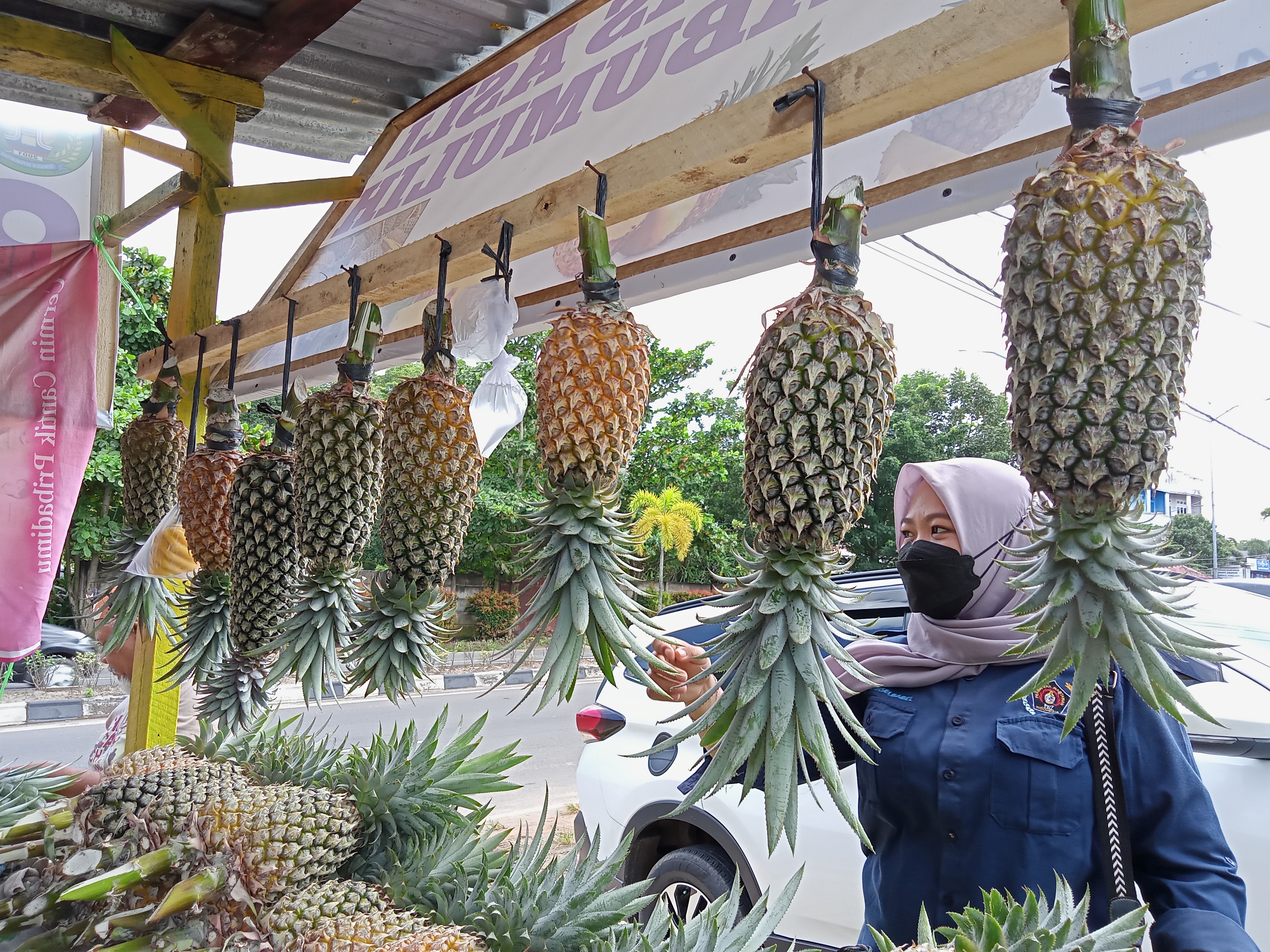 Nanas Asli Prabumulih Dapat Beli di Senkul