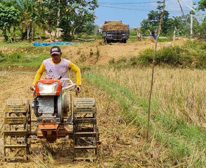 Petani di PALI Beralih ke Pupuk Kandang, Kurang Pupuk Khawatir Gagal Panen