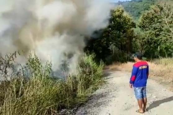 Waspada Karhutla Mulai Terjadi di Paiker Empat Lawang