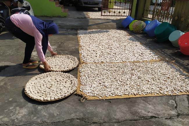 Hadapi Musim Hujan, Pengusaha Kerupuk Kesulitan Pengeringan