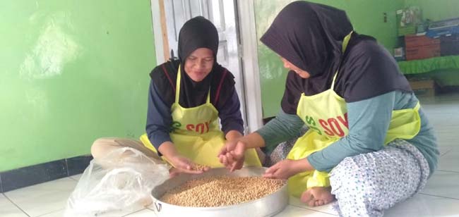 Harga Kacang Kedelai Naik, Pengrajin Tempe Mengeluh