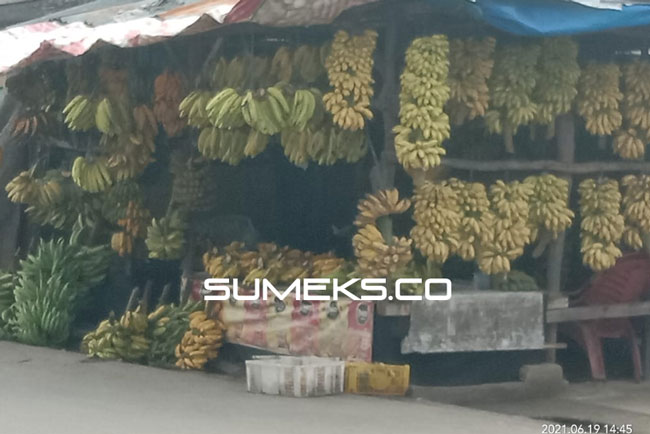 Ini Manfaat Mengonsumsi Pisang-Susu