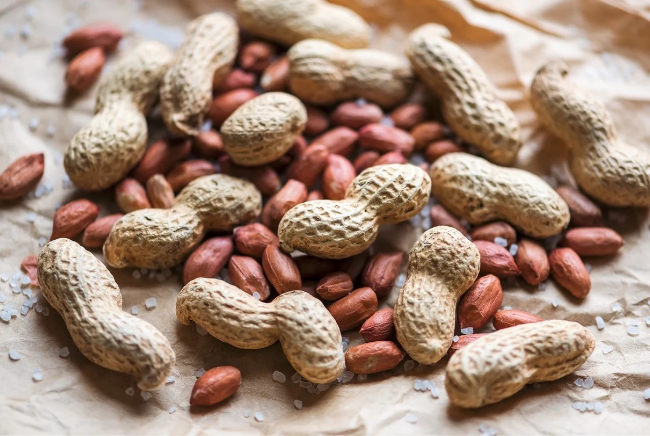 Khasiat Kacang Tanah untuk Kesehatan Tubuh