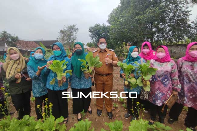 Kelurahan ini Dijadikan Kampung Kreatif