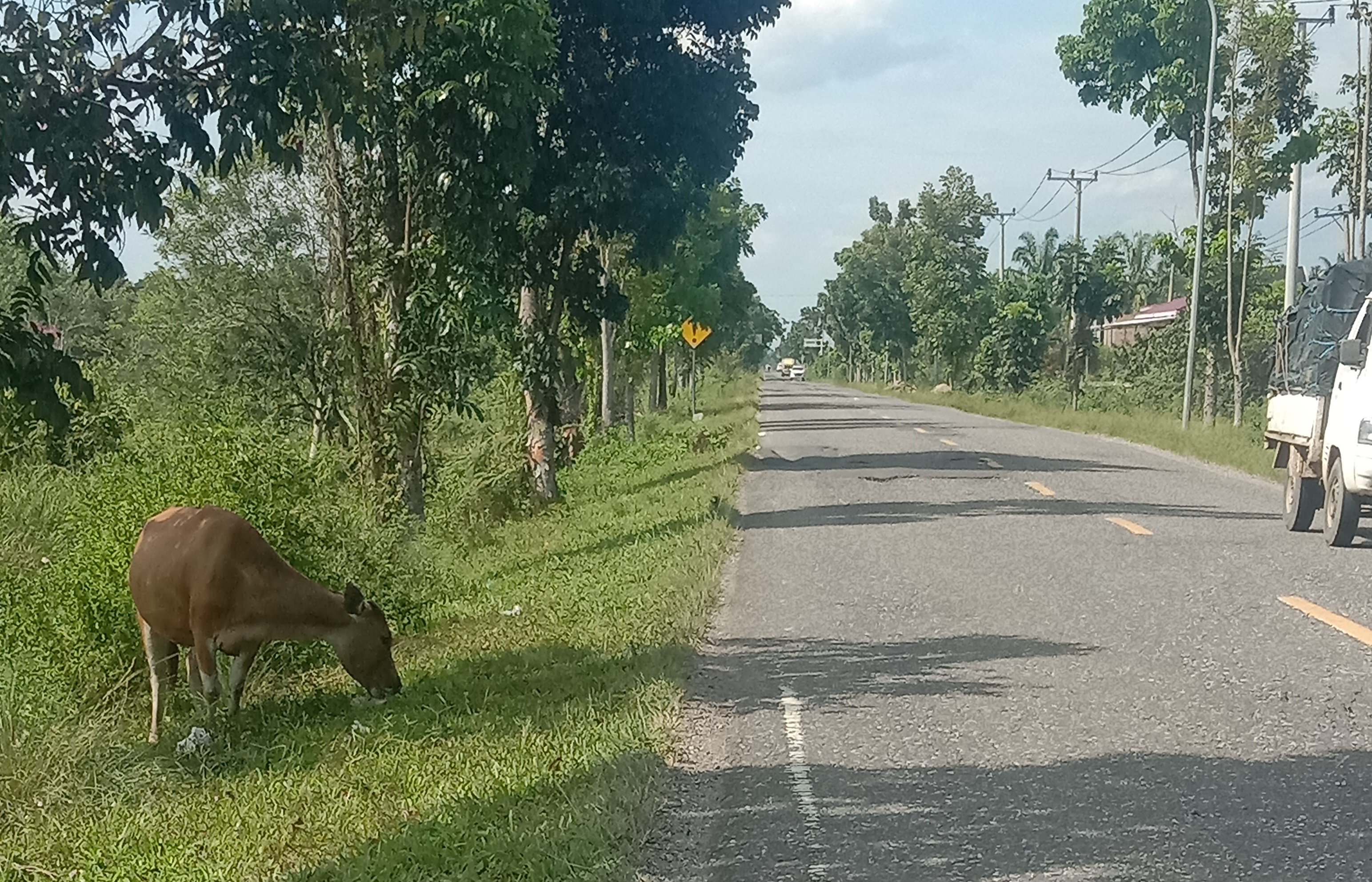 Waspadai Pencurian Hewan Ternak dan Uang Palsu