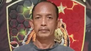 Curi Sawit PT Mitra Ogan, Erwin Ditangkap Polisi