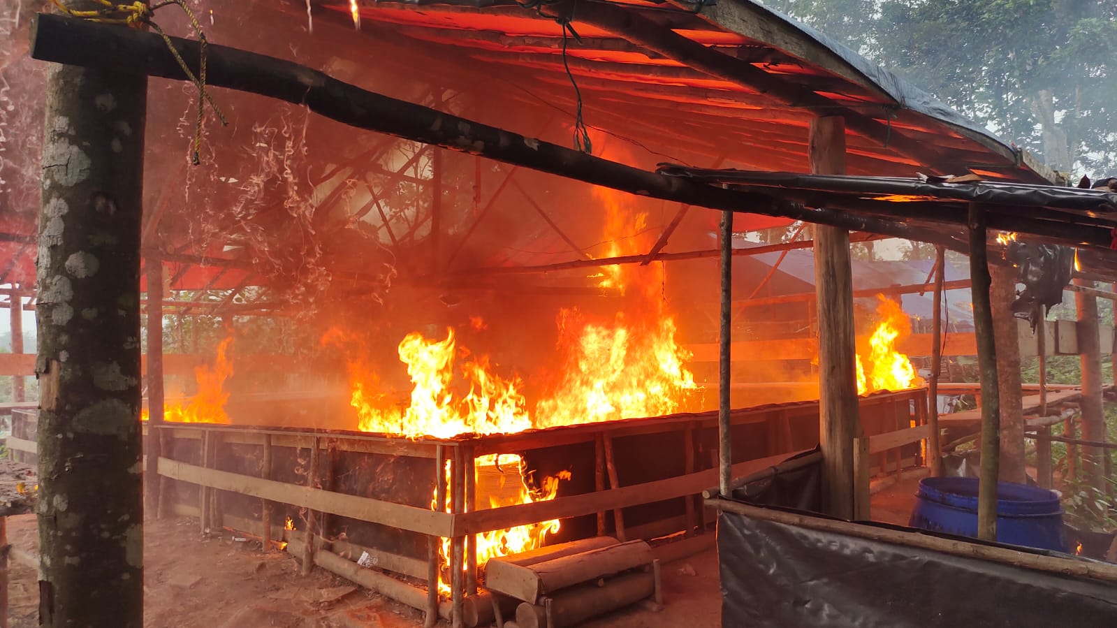 Polisi Gerebek Arena Sabung Ayam yang Sudah Kosong