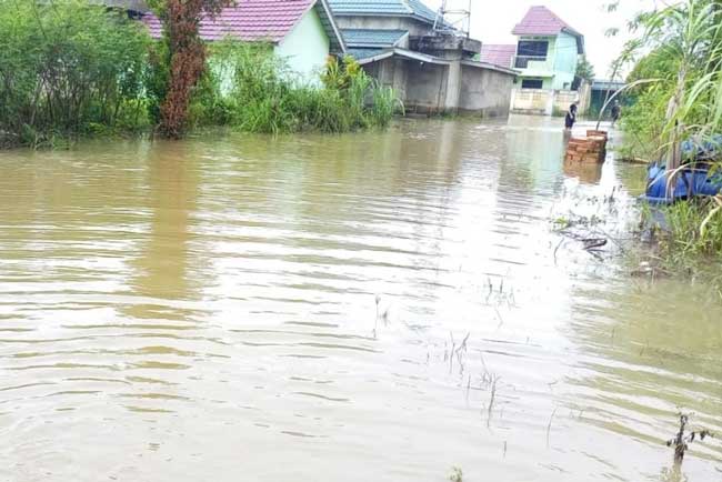 Banjir, Warga Perumahan ini Berharap Bantuan