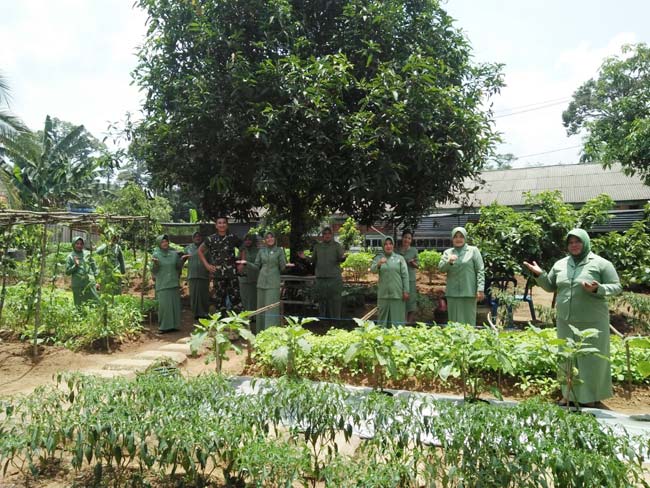 Ketahanan Pangan Kodim 0405 lahat Jadi Wahana Edukasi dan Contoh