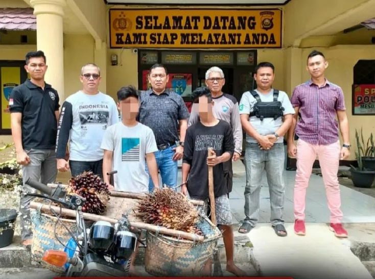 Dua Pemuda Curi Buah Kelapa Sawit Diamankan