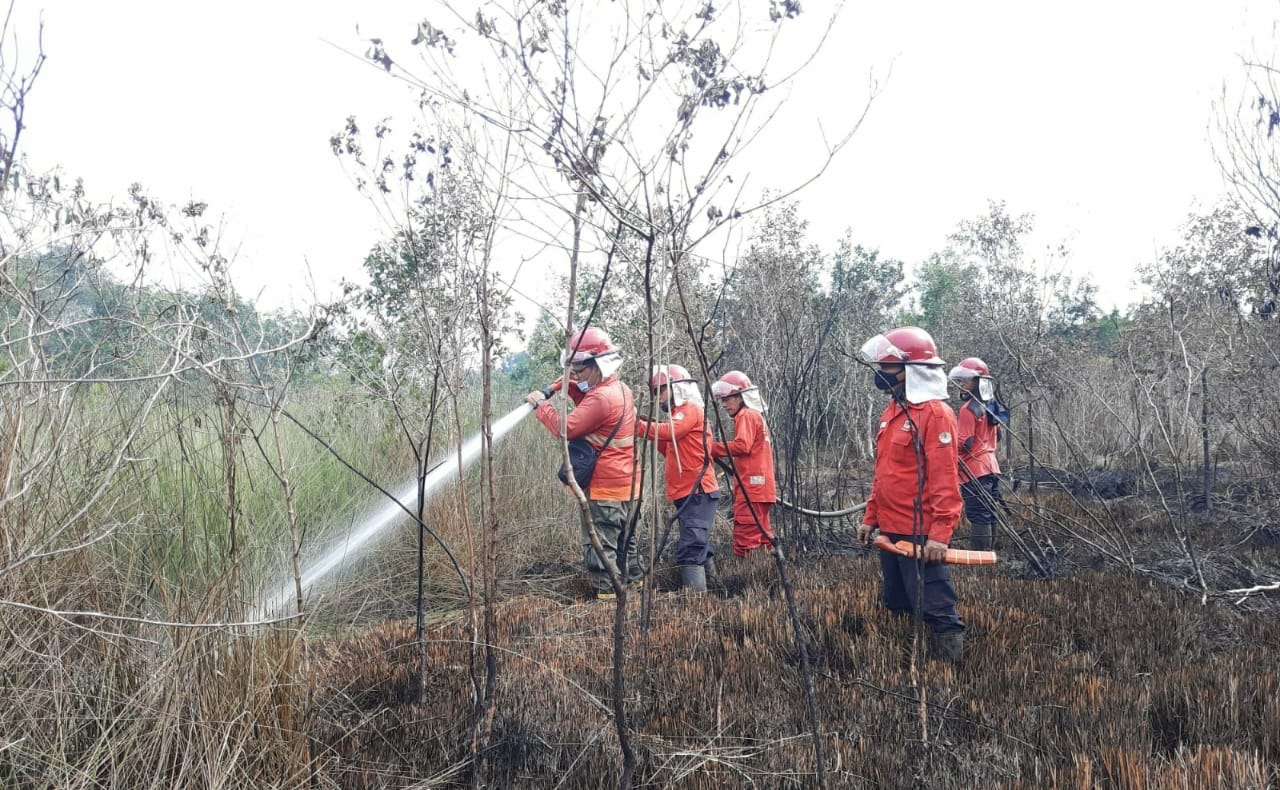 Lahan Gambut Tidak Terendam, Tingkat Karhutla Level Sedang