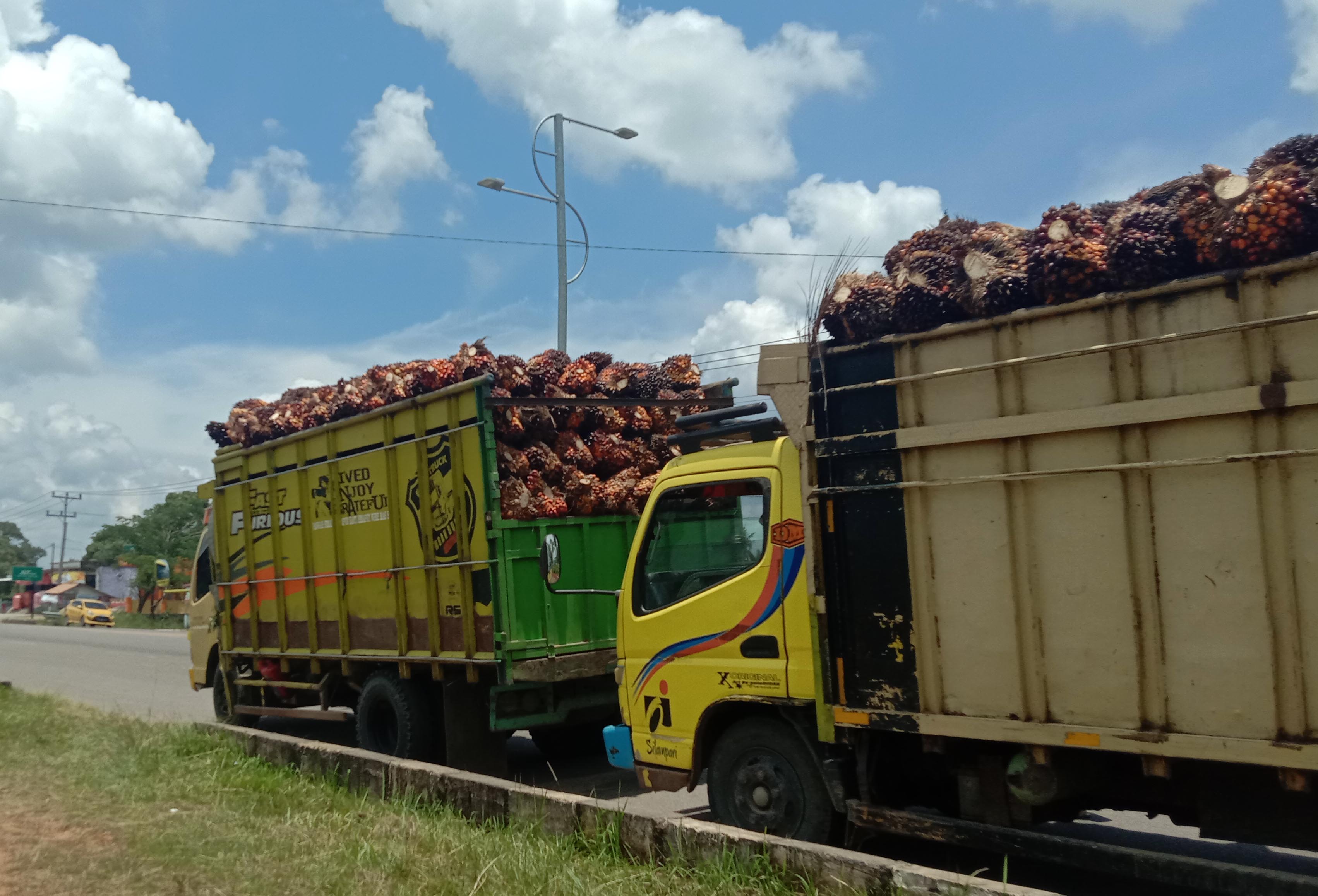 Apsindo Muratara Bakal Kepung Kantor Bupati dengan Ratusan Truk