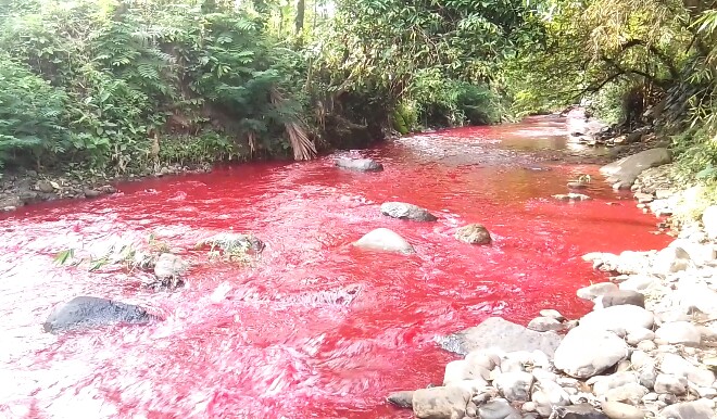 Air Sungai Cimeta Berubah Warna jadi Merah Darah