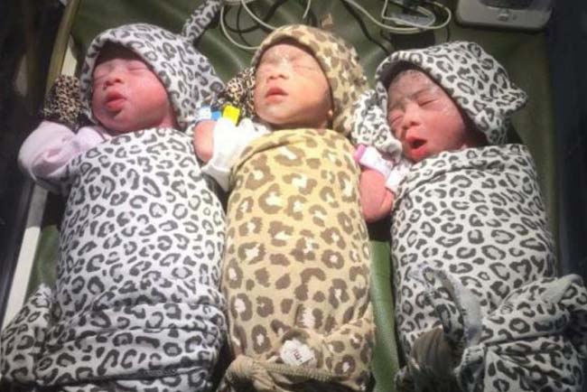 Bayi Kembar 3 Lahir di Sekayu