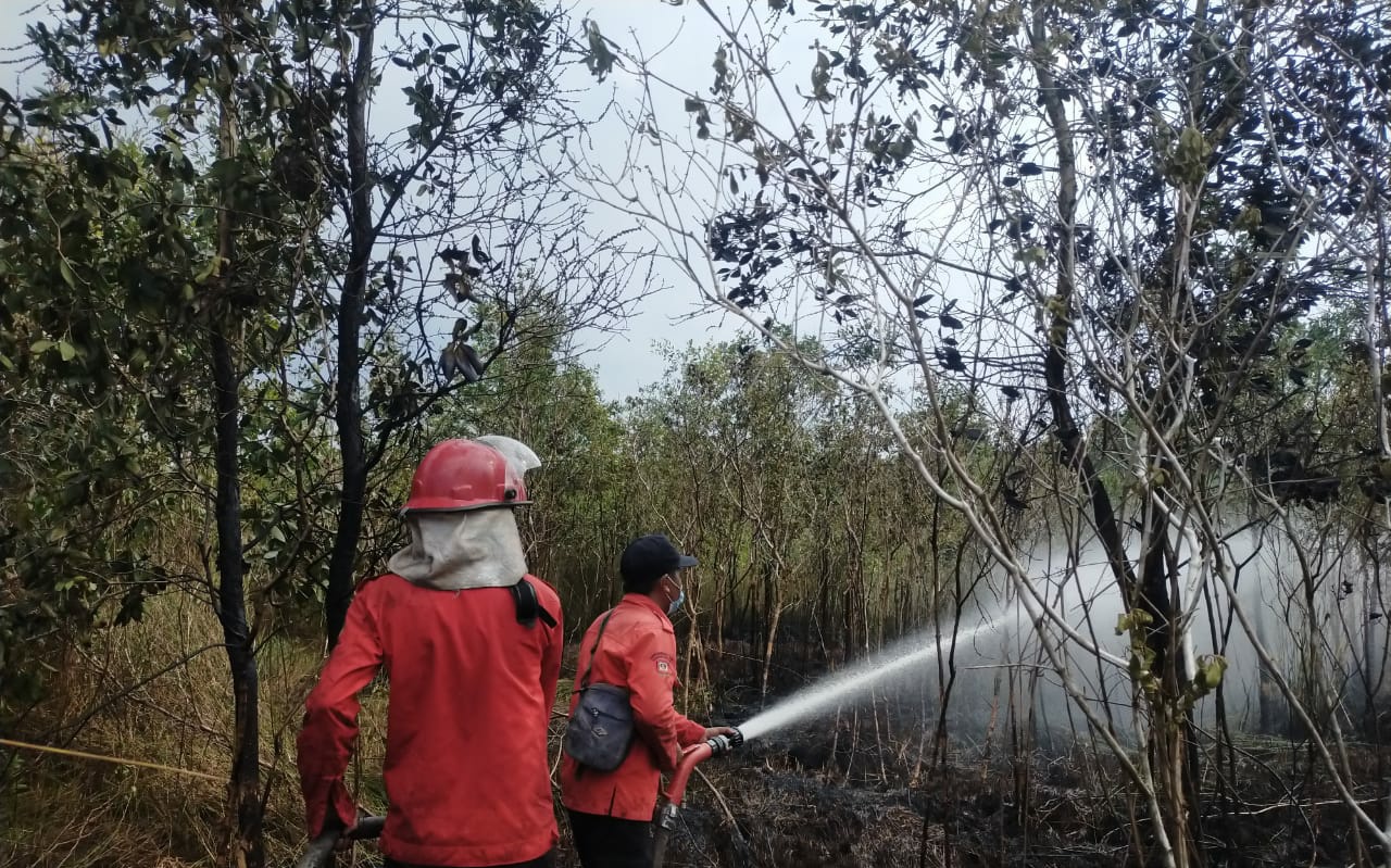 Diperkirakan Agustus, Tingkat Rawan Karhutla Tinggi