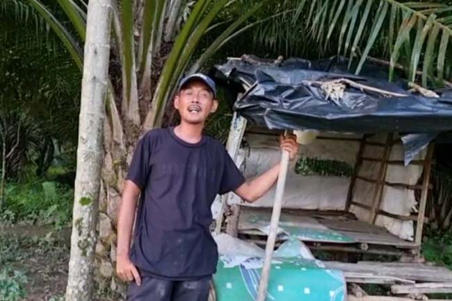 Petani Sawit Sumsel Apresiasi Kebijakan Jokowi Buka Larangan Ekspor Sawit