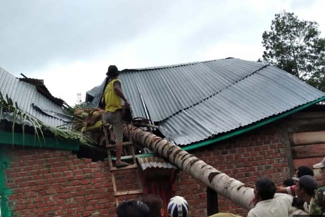 Cuaca Ekstrim, Pohon Kelapa Timpa Rumah Warga