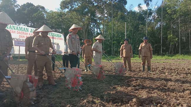 Polres Ini Budidayakan Jagung hingga ke Polsek-Polsek