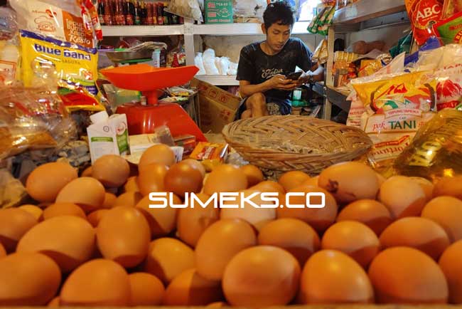 Telur Ayam Naik, ini Penyebabnya...