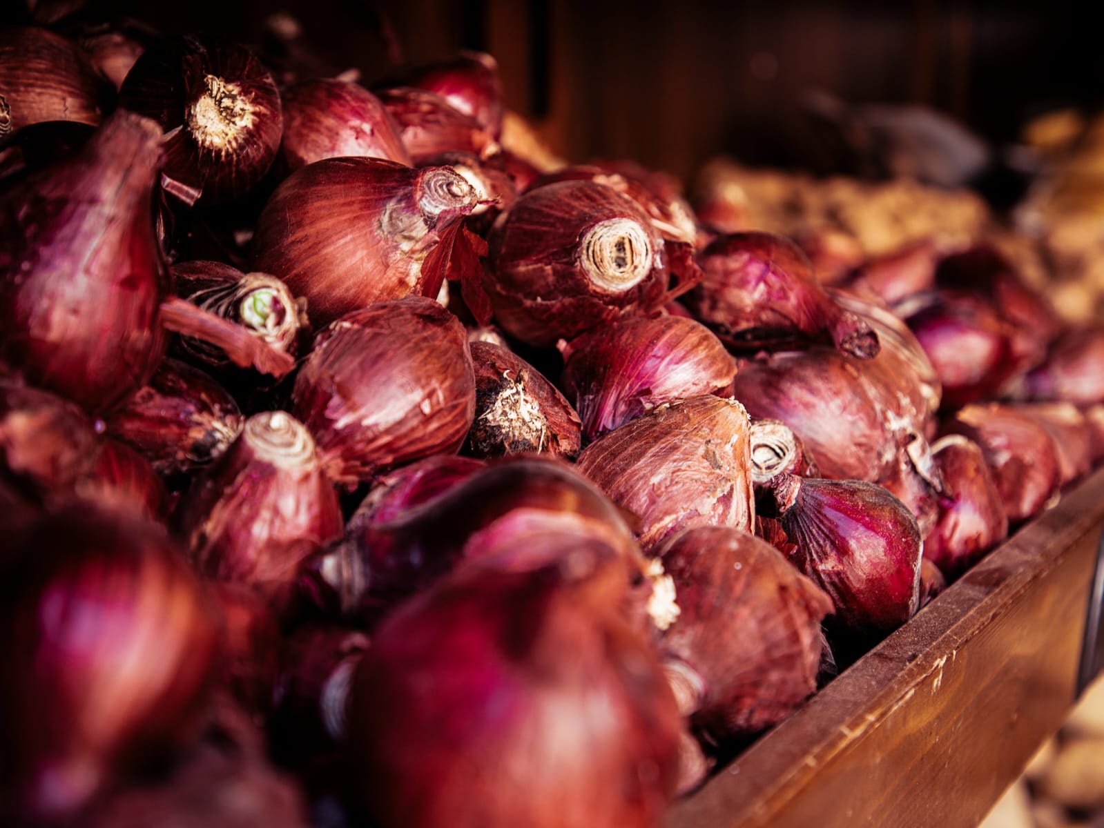 Mulai Sekarang Jangan Dibuang! Ini 5 Manfaat Kulit Bawang Merah untuk Tanaman Hias