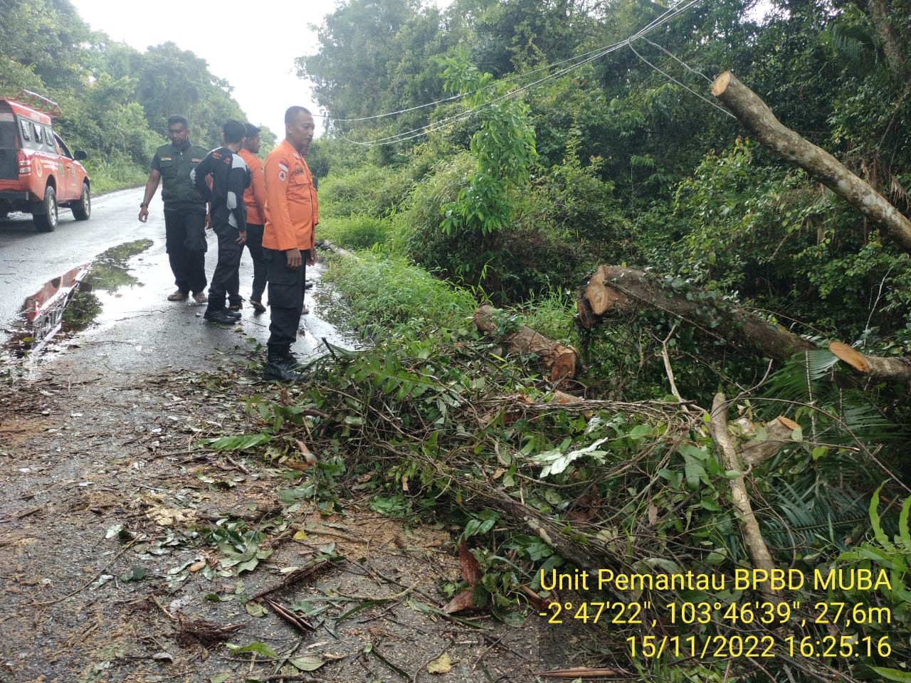 BPBD Muba Evakuasi Pohon Tumbang, Masyarakat Diimbau Waspada Cuaca Esktrem