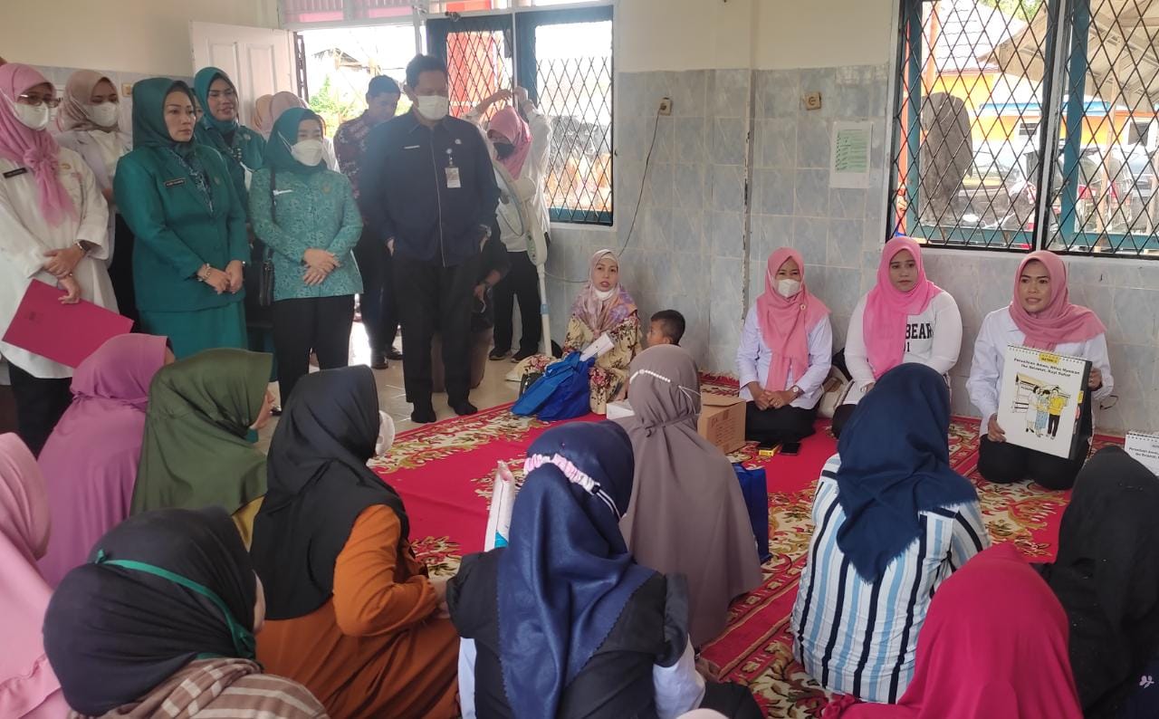  Angka Kematian Ibu dan Anak di Sumsel masih Tinggi, Kepala Dinkes Minta Kolaborasi