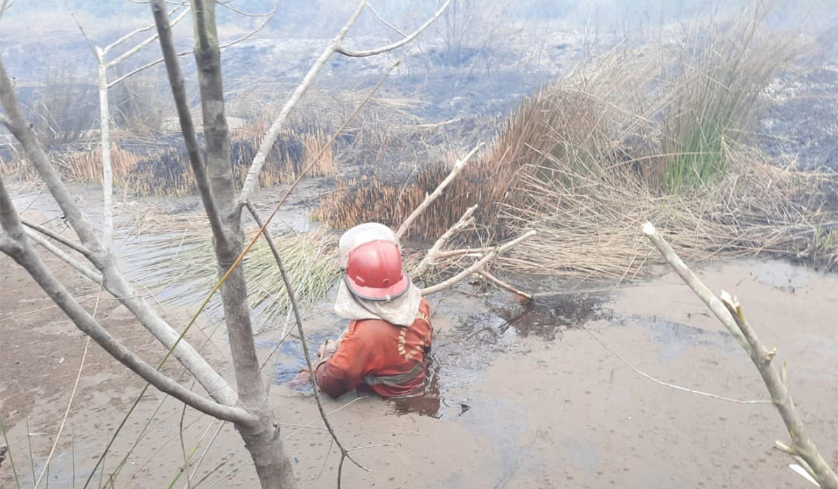 Kok Bisa! Hujan Basahi Kabupaten OKI, Petugas Masih Berjibaku Padamkan Karhutla