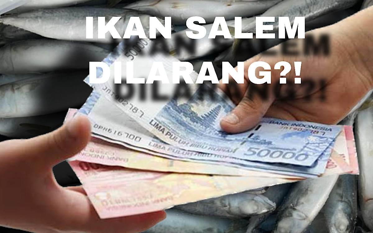 Pembeli Mengaku Tidak Tahu Ikan Salem Itu Dilarang, Bahkan Ada yang Bertanya Apakah Ikan Itu Berbahaya?