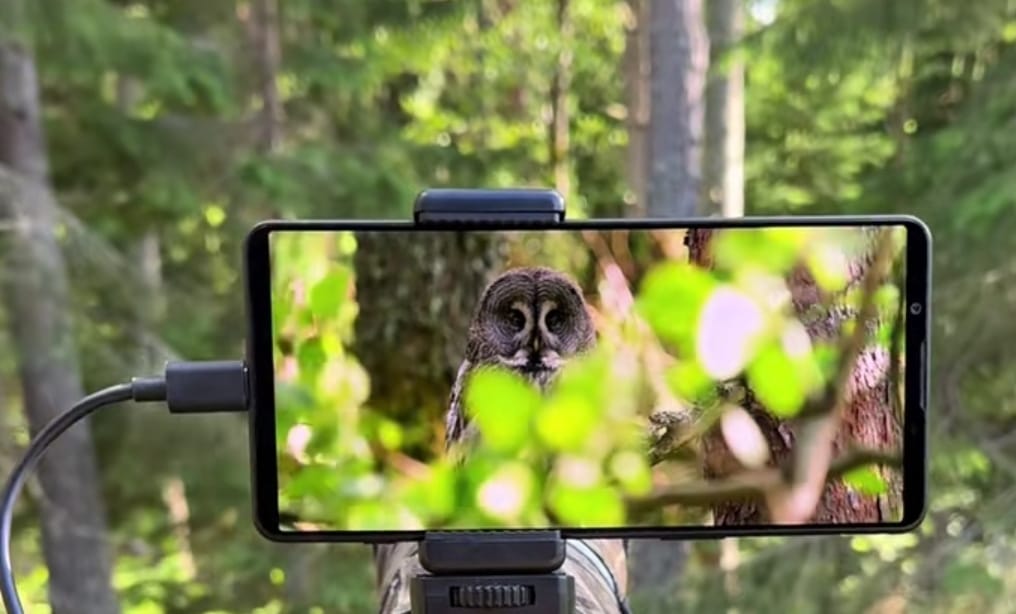 Bocoran Sony Xperia 10 VII, Perubahan Desain Kamera Jadi Horizontal, Segini Perkiraan Harganya