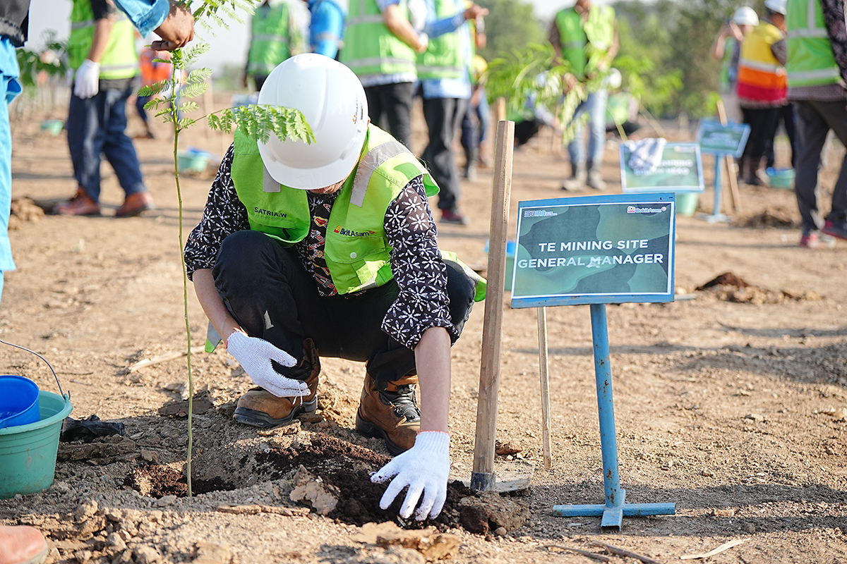 PT Bukit Asam Tbk Tanam 600 Pohon Sengon Buto dalam Kegiatan Green Mining di Muara Enim