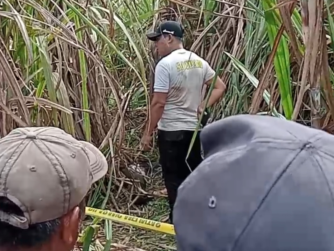 Polres Ogan Ilir Buru Pelaku Pembunuhan Wanita Hamil yang Ditemukan Tak Bernyawa di Perkebunan Tebu