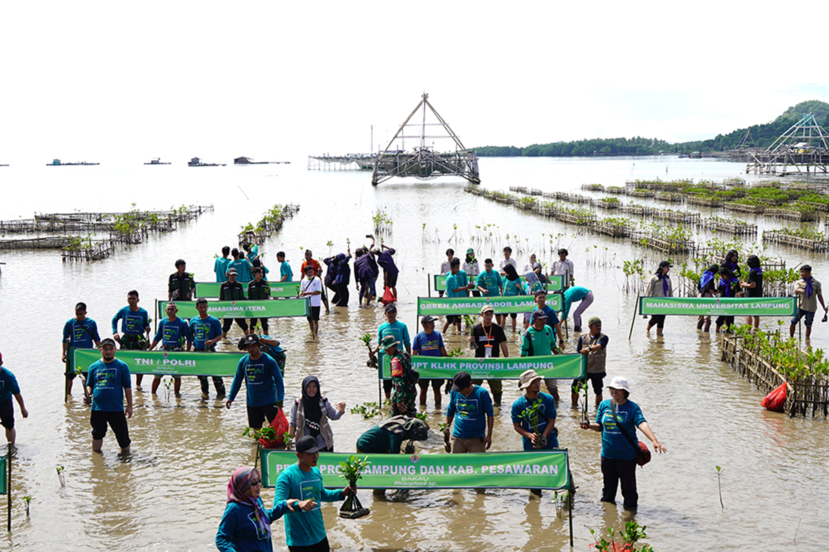 Hari Lahan Basah Sedunia, PT Bukit Asam Ikut Aksi Tanam Mangrove