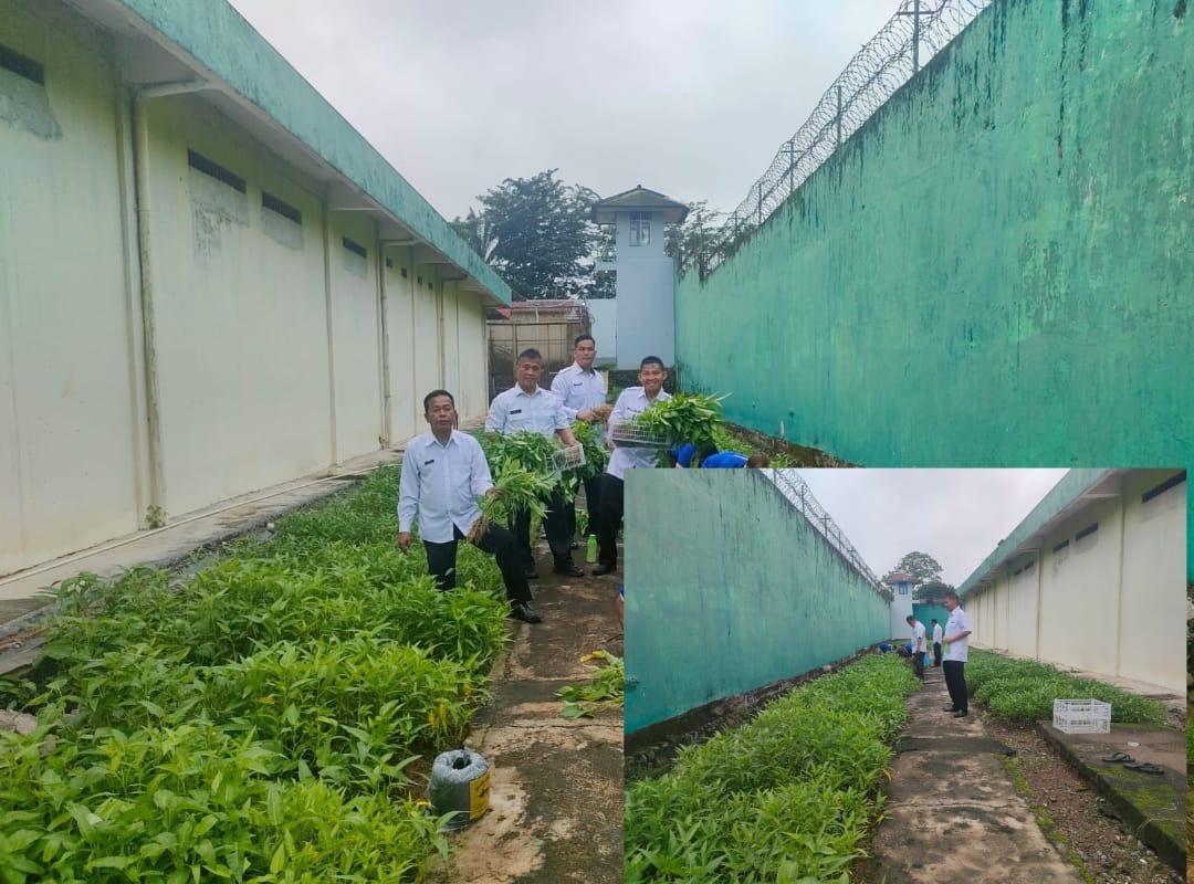 Panen Kangkung Sukses di Lapas Narkotika Muara Beliti, Dukung Ketahanan Pangan dan Pemberdayaan Warga Binaan