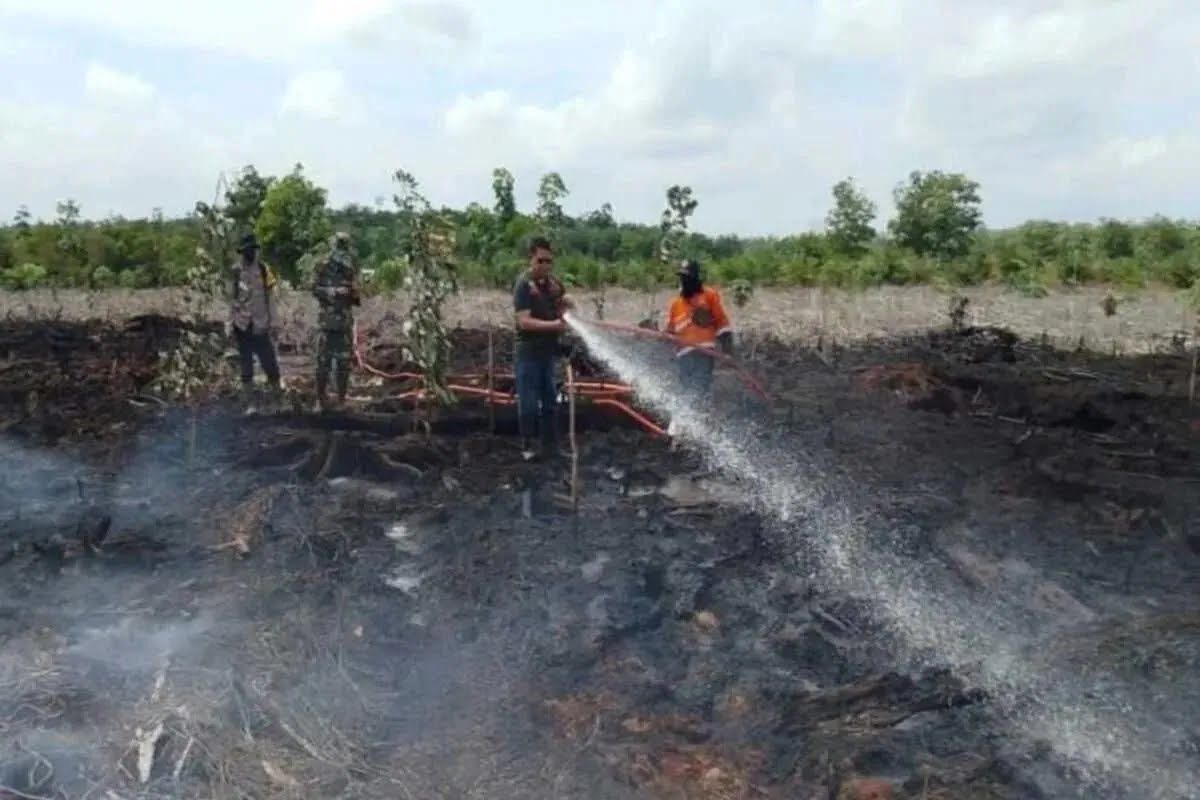 BPBD PALI Catat 29 Kasus Karhutla Sepanjang Agustus 2025, Warga Diminta Waspada