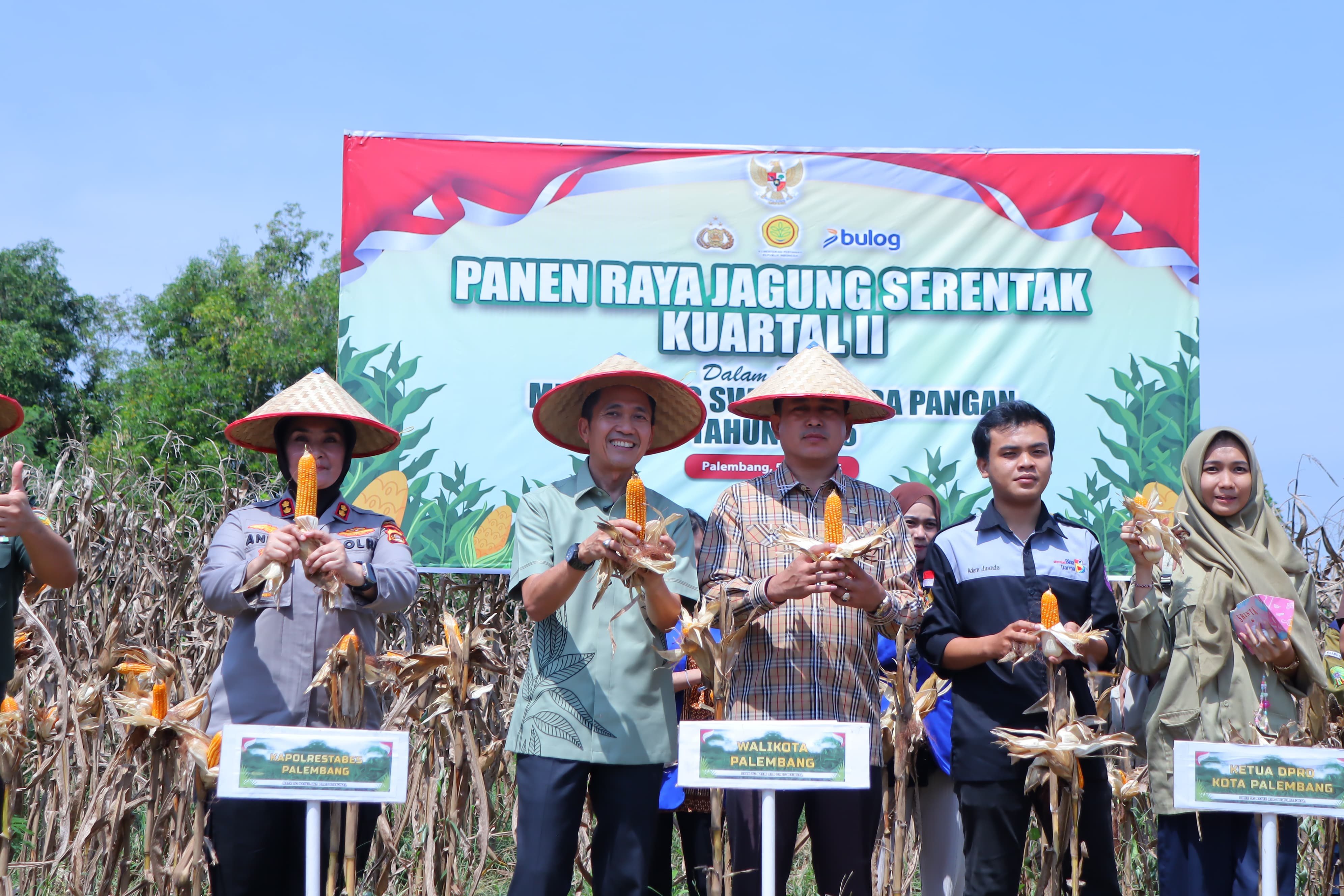 Wali Kota Palembang Lakukan Panen Raya Jagung Serentak yang Dipimpin Presiden RI Prabowo