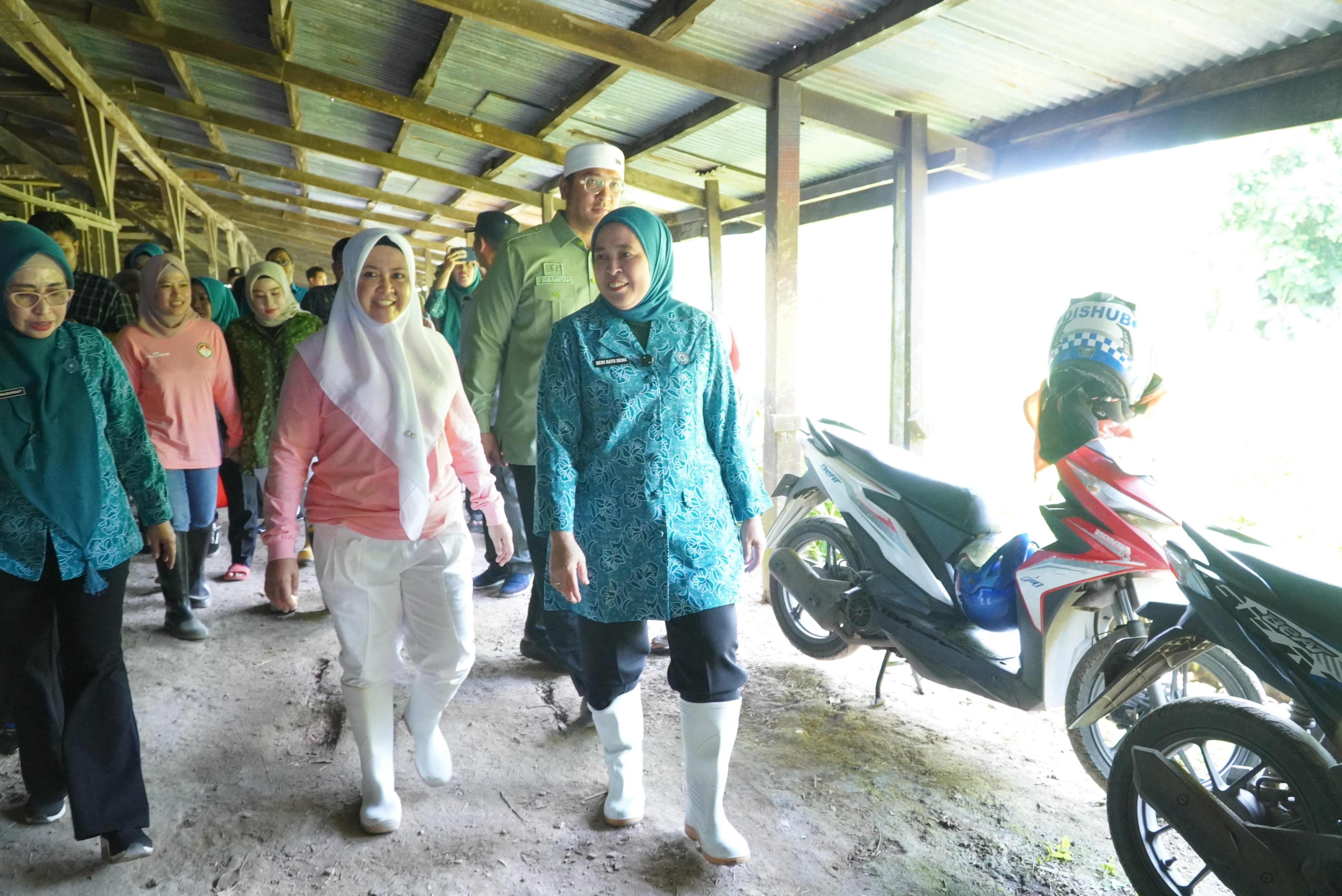 Rela Terobos Banjir, Ketua TP PKK Palembang Beri Bantuan untuk Warga Sakit