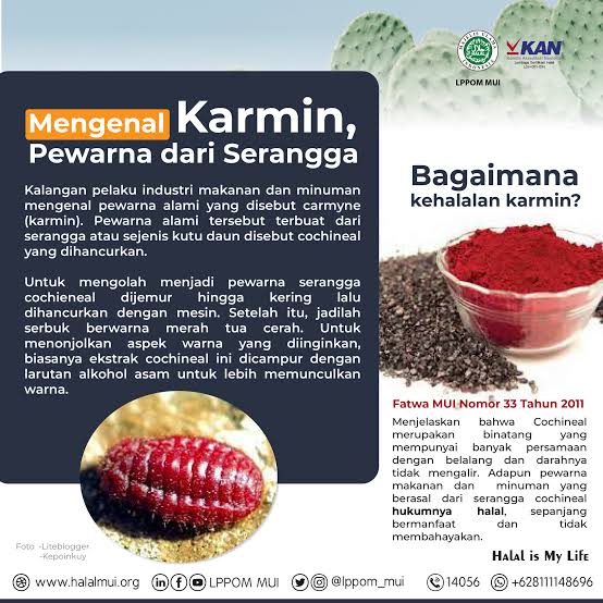 Dua Lembaga Islam Beda Pendapat Terkait Pewarna Karmin Pada Yogurt dan Yakult, Pemerintah Diminta Turun Tangan