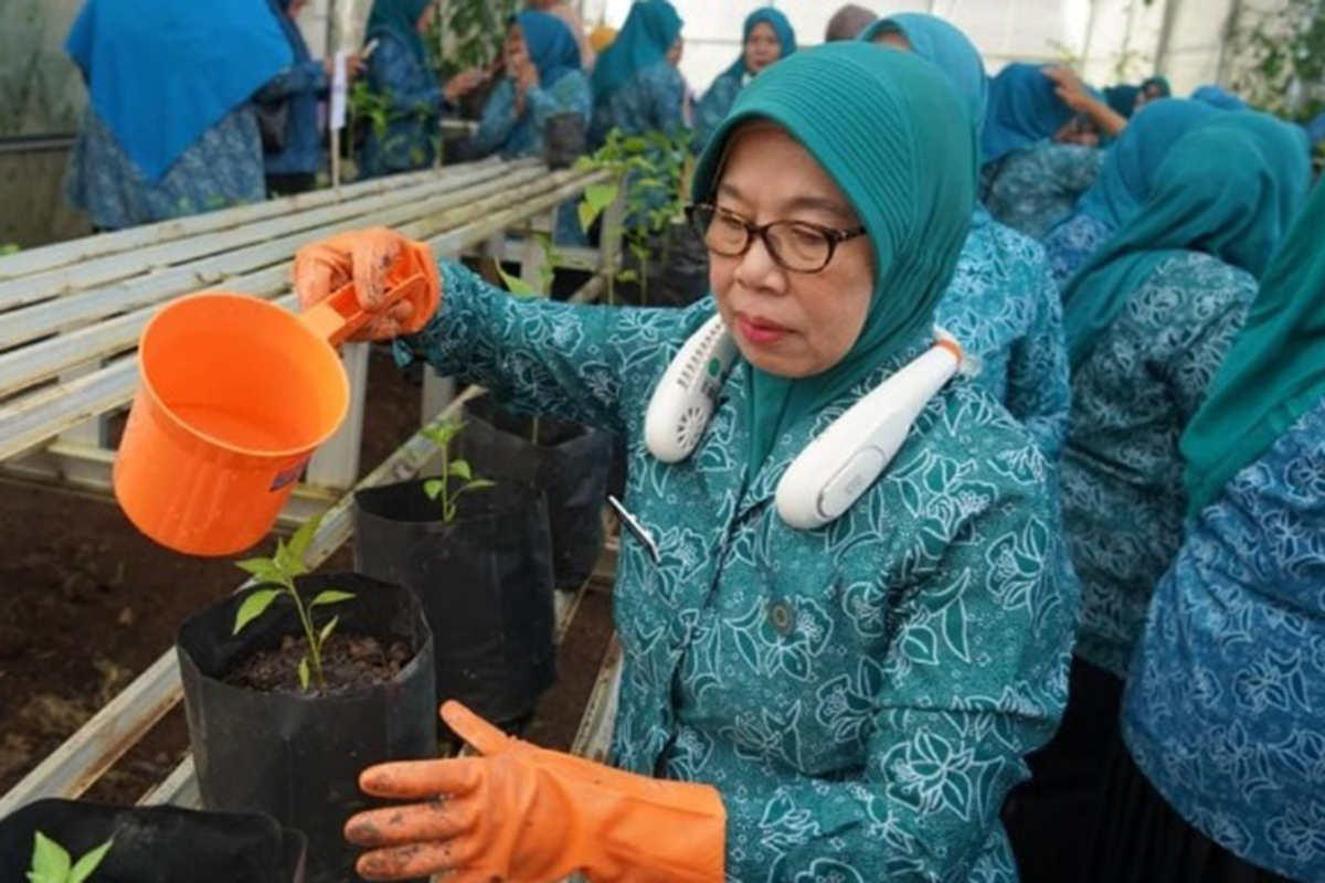 PKK Muara Enim Beraksi! Gerakan Tanam Cabai Serentak Dorong Ketahanan Pangan dan Ekonomi Keluarga