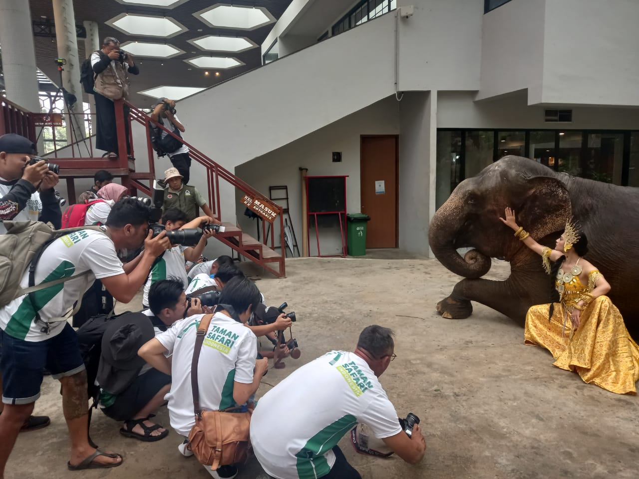 Lomba Foto Satwa IAPVC 2023 Taman Safari Indonesia Dibuka, Panitia Siapkan Hadiah Mobil Listrik! 