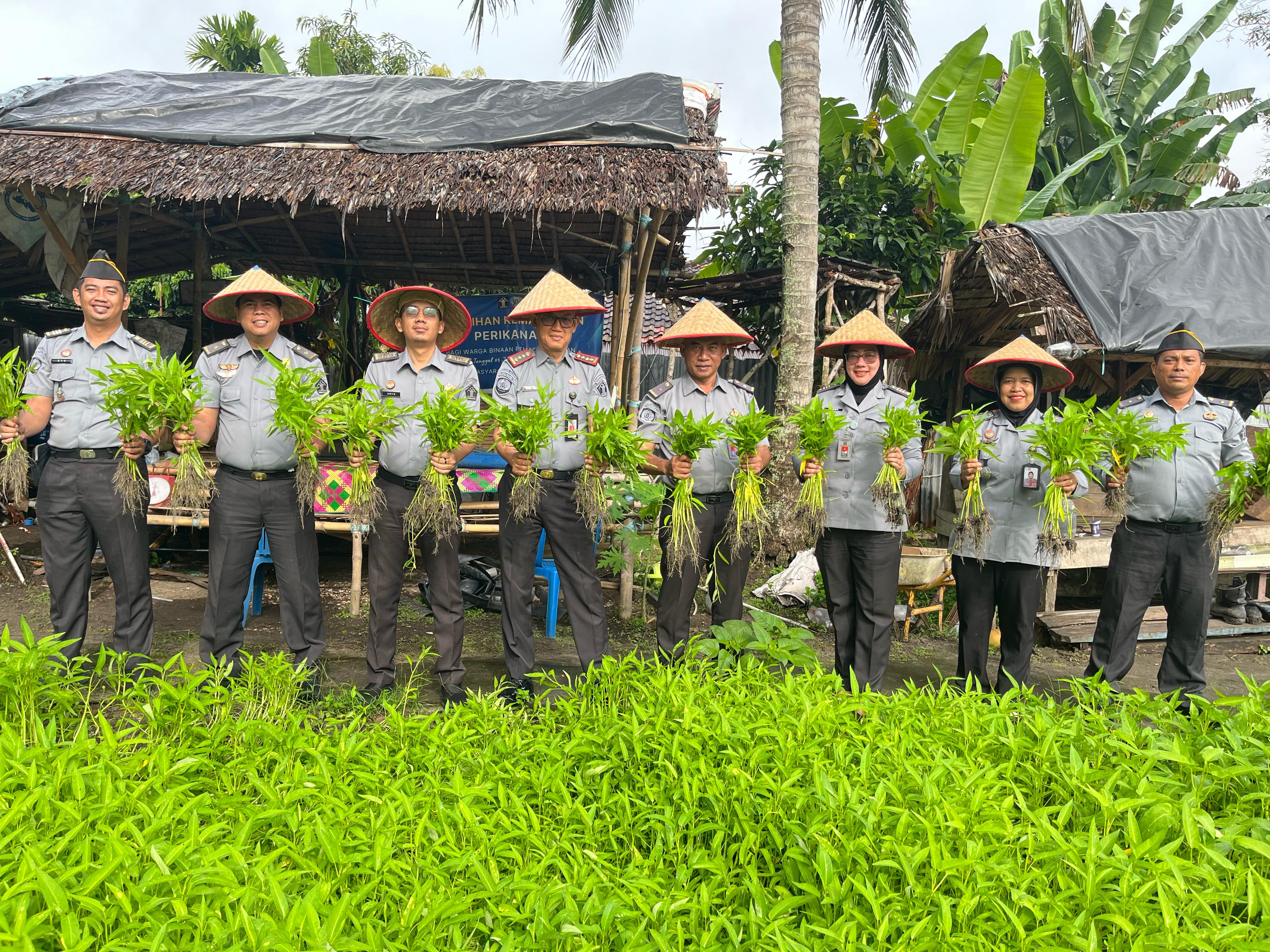 Lapas Tanjung Raja Ogan Ilir Panen 145 Kg Kangkung dari Lahan Asimilasi dan Edukasi