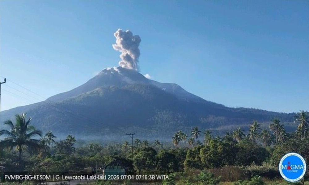 Gunung Lewotobi Laki-Laki Erupsi, Tinggi Kolom Abu Mencapai 800 Meter