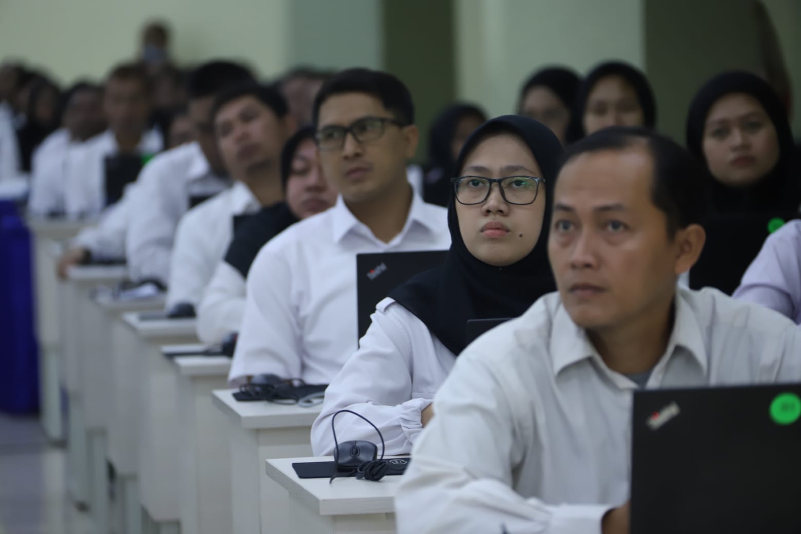 Jangan Khawatir! Honorer TMS dan Tidak Lulus PPPK 2024 Masih Punya Peluang, Ini Janji MenPANRB