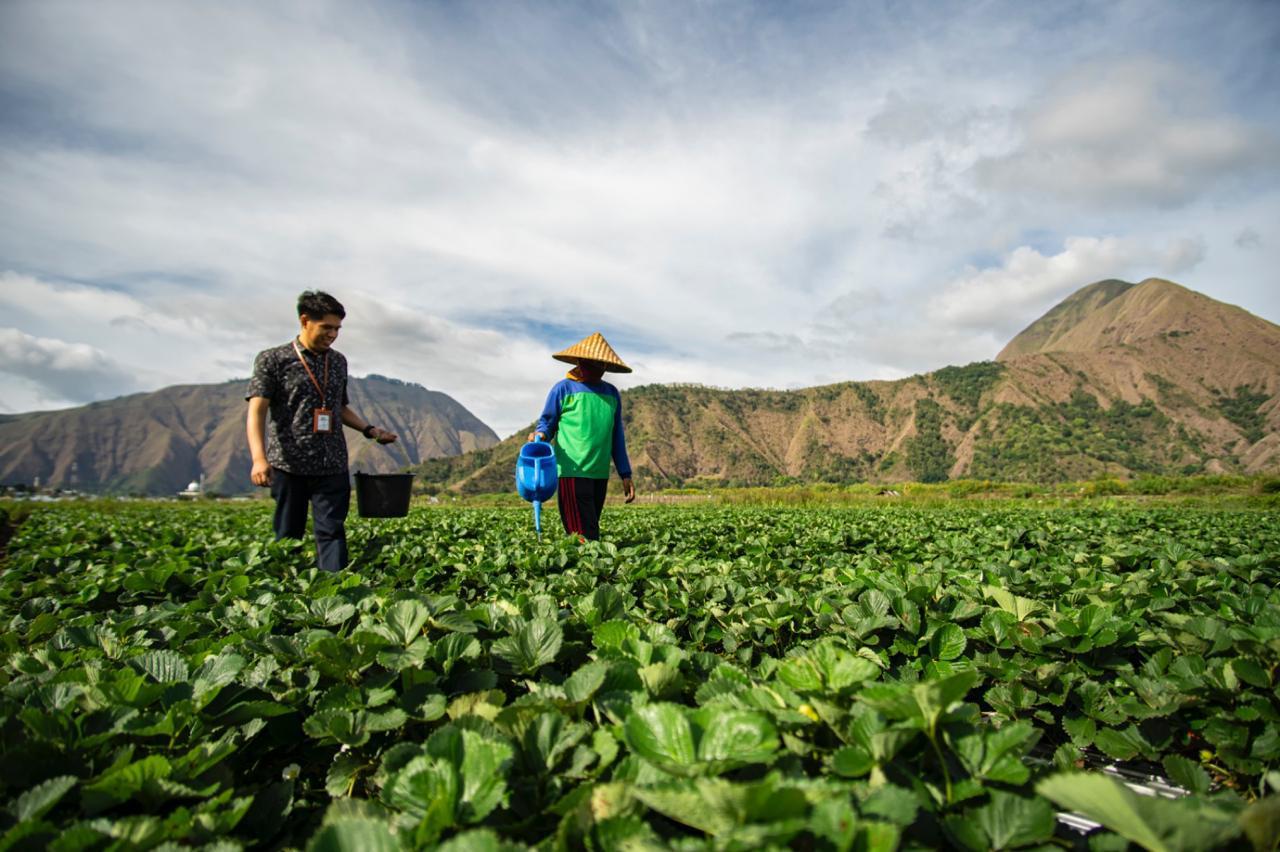 Indeks Bisnis UMKM BRI Q3-2025: Ekspansi Berlanjut, Optimisme Pelaku Usaha Semakin Meningkat