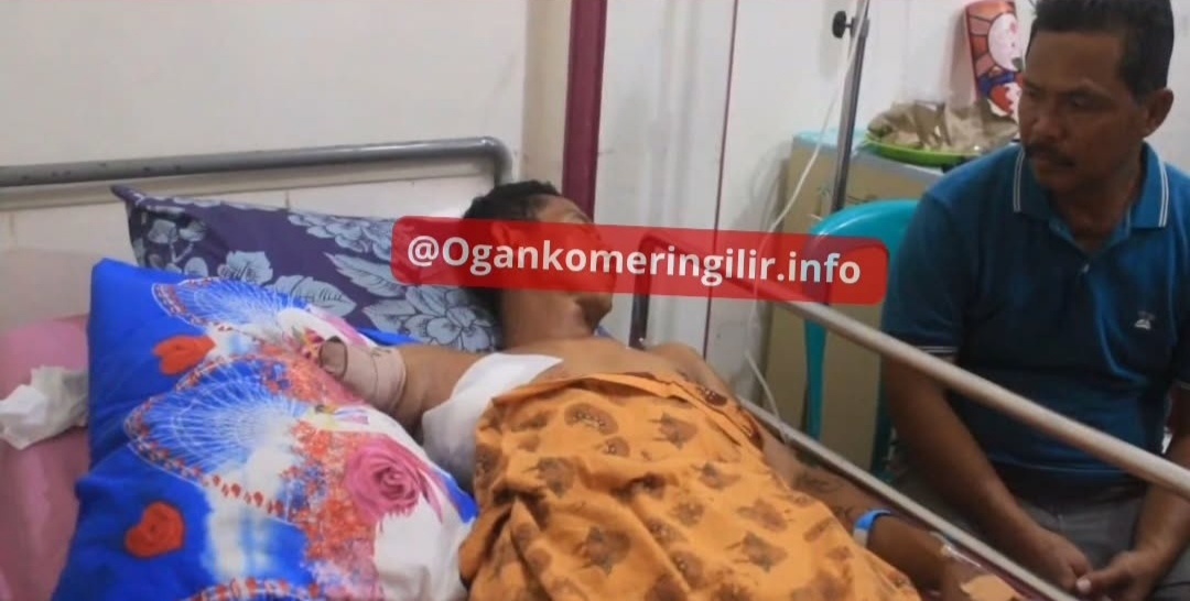 Tangan Herman Putus Diterkam Buaya Saat Ambil Air di Kanal Tambak Udang Sungai Menang OKI