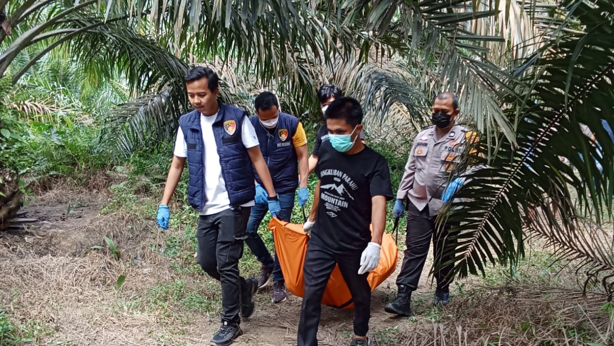 Polisi Temukan Rekaman Video Aksi Bunuh Diri Pria Membusuk di Pelepah Kelapa Sawit, Motifnya Bikin Elus Dada