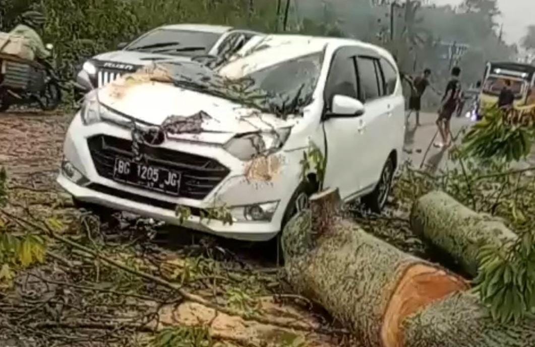 Tertimpa Pohon Kapuk di Jalintim Palembang-Betung, Satu Keluarga Trauma