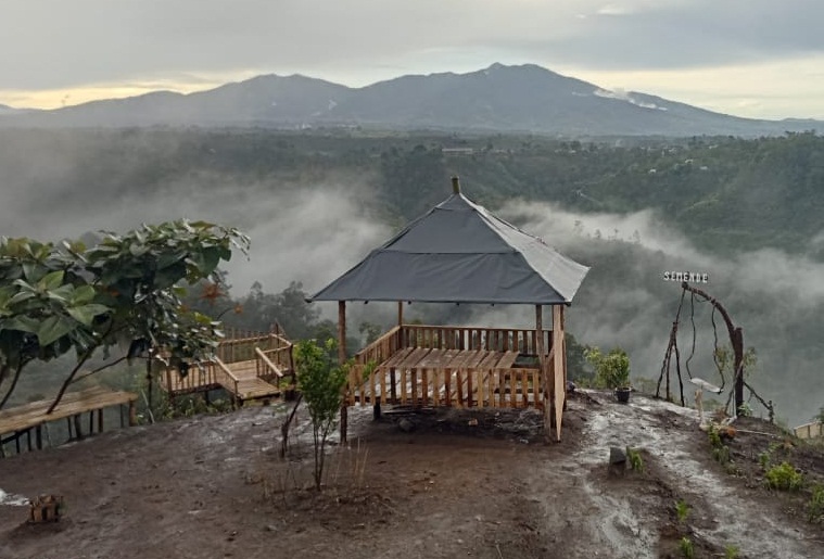 Agrowisata Puncak Liku 9, Nikmati Keindahan Alam dari Puncak Bukit Barisan