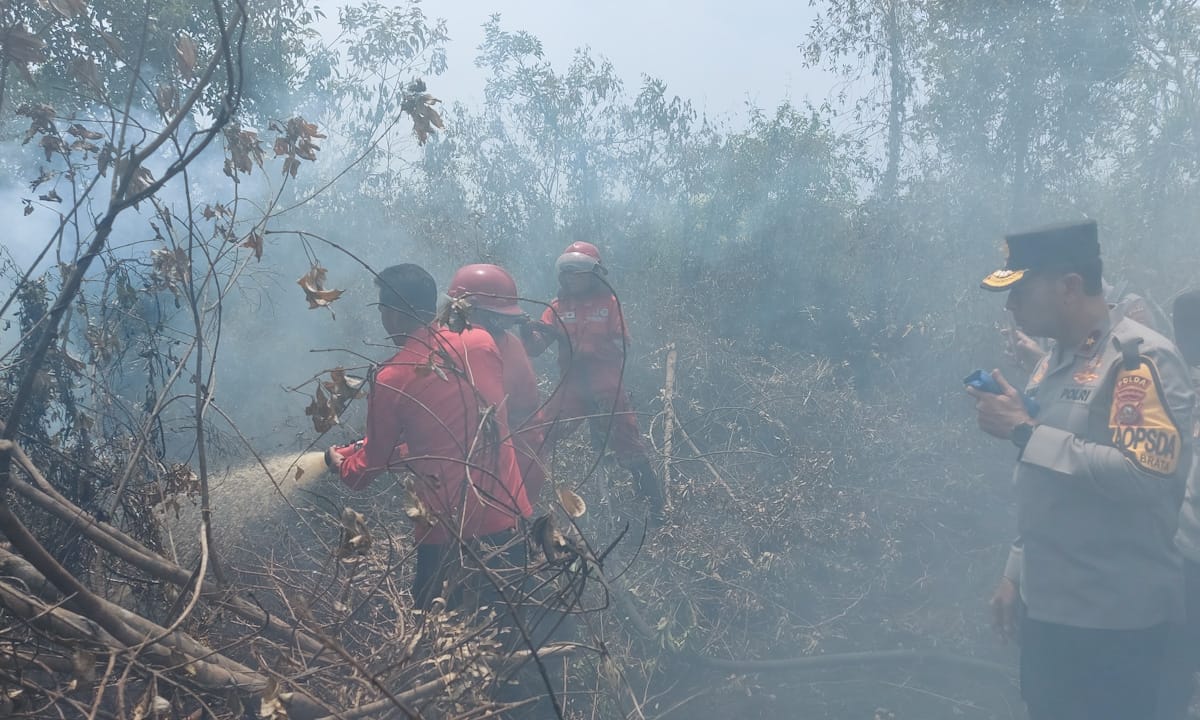 Operasi Hujan Buatan Diperpanjang, 2.000 Personel TNI-Polri Terus Berjuang Padamkan Api Karhutla
