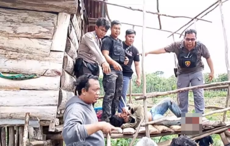 Bocah 4 Tahun di Empat Lawang Disandera Pria Bersajam Dalam Pondok Kebun Karet, Pelaku Dilumpuhkan Polisi