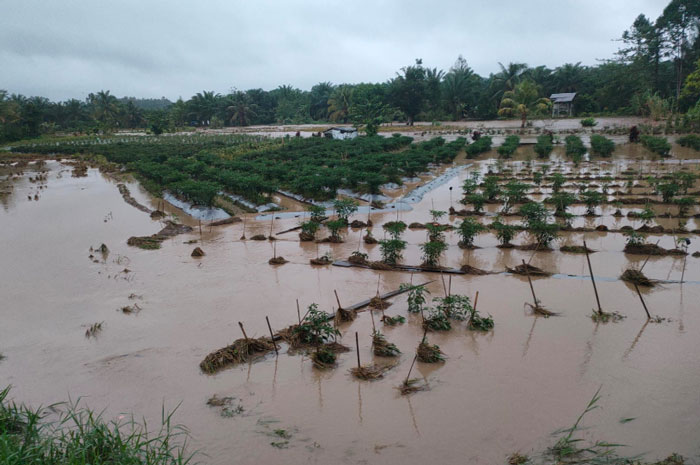 Banjir Landa Kikim Selatan, 5 Desa Terdampak